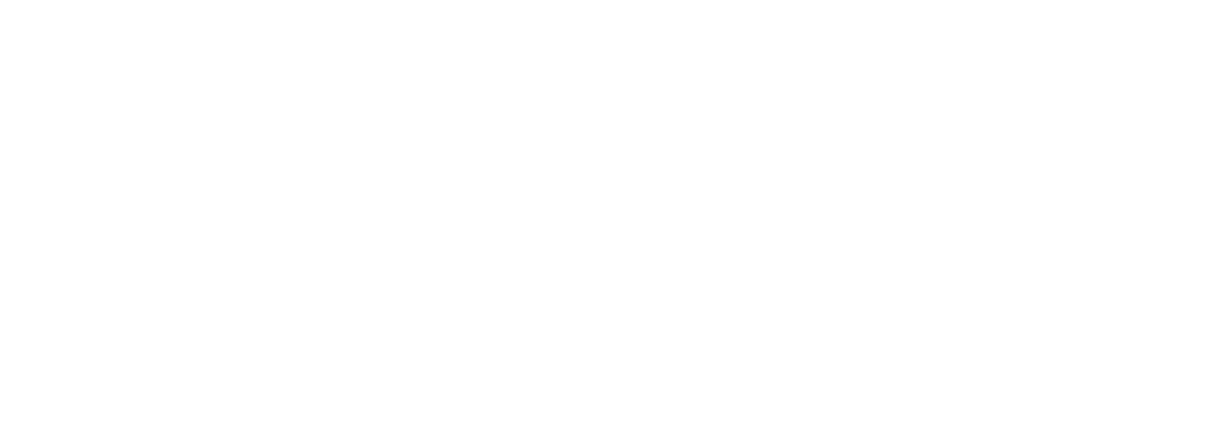 Logo Trasncendit