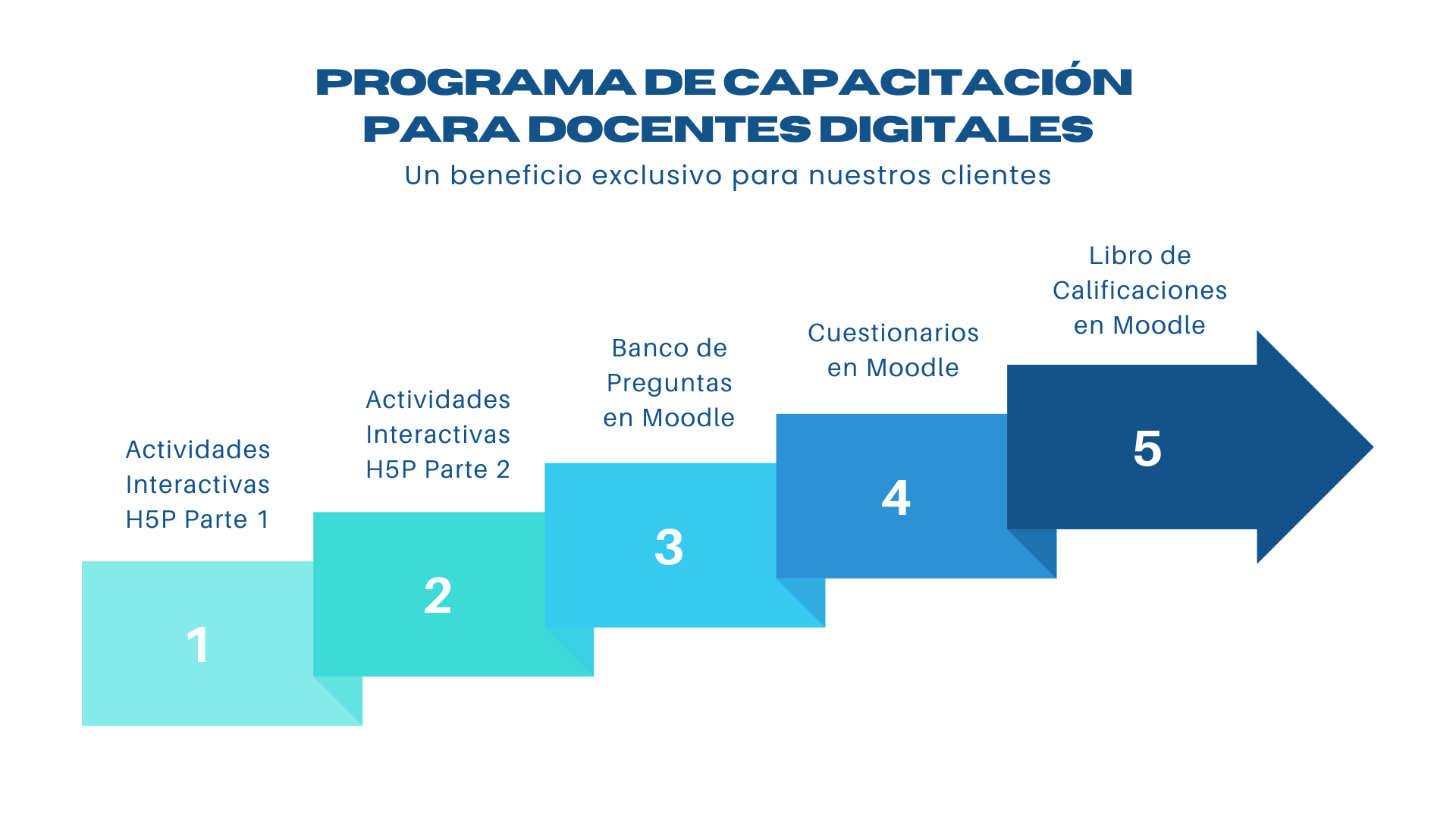 Azul y Blanco Diagrama de Flechas Presentación